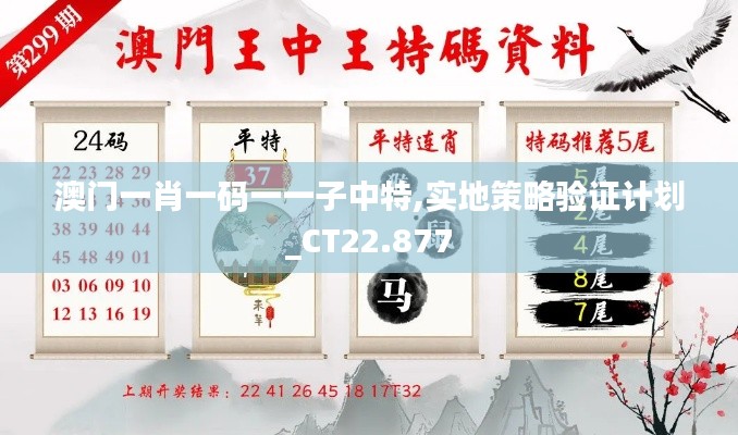 澳門一肖一碼一一子中特,實地策略驗證計劃_CT22.877