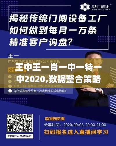王中王一肖一中一特一中2020,數(shù)據(jù)整合策略解析_tool98.141