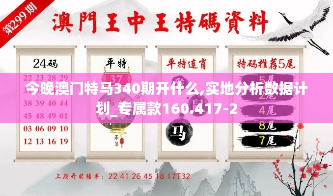今晚澳門(mén)特馬340期開(kāi)什么,實(shí)地分析數(shù)據(jù)計(jì)劃_專(zhuān)屬款160.417-2