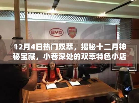 揭秘十二月神秘寶藏，小巷深處的雙萃特色小店，探尋雙萃雙十二驚喜活動