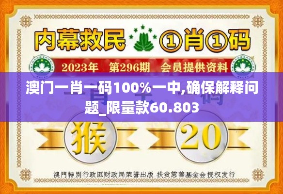 澳門一肖一碼100%一中,確保解釋問題_限量款60.803