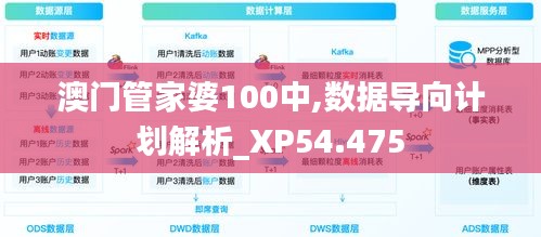 澳門(mén)管家婆100中,數(shù)據(jù)導(dǎo)向計(jì)劃解析_XP54.475