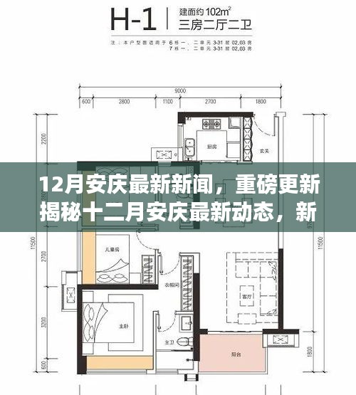 十二月安慶新聞熱點(diǎn)大揭秘，最新動(dòng)態(tài)一網(wǎng)打盡