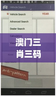 澳門三肖三碼精準(zhǔn)100%澳門公司介紹,實(shí)地評(píng)估解析說明_領(lǐng)航款34.678