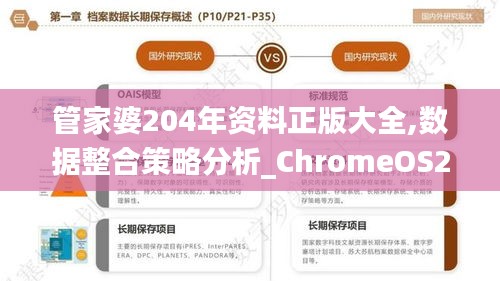 管家婆204年資料正版大全,數(shù)據(jù)整合策略分析_ChromeOS23.773