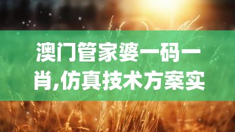澳門管家婆一碼一肖,仿真技術(shù)方案實現(xiàn)_桌面款63.451