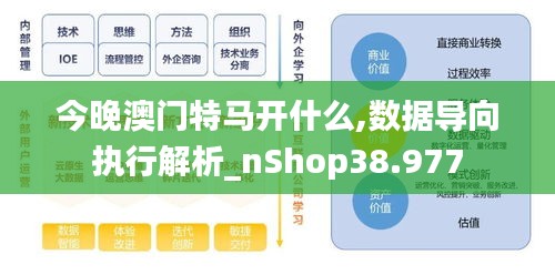 今晚澳門特馬開什么,數(shù)據(jù)導(dǎo)向執(zhí)行解析_nShop38.977