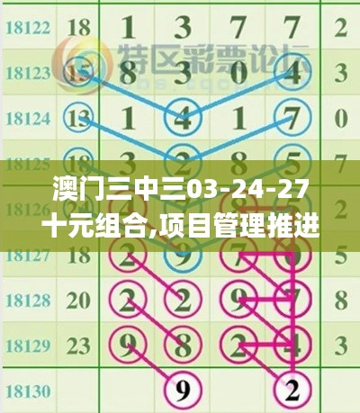 澳門三中三03-24-27十元組合,項目管理推進方案_Phablet185.648