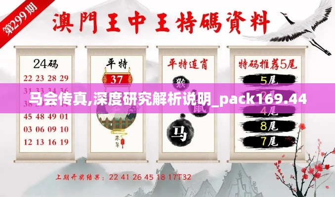 馬會傳真,深度研究解析說明_pack169.440