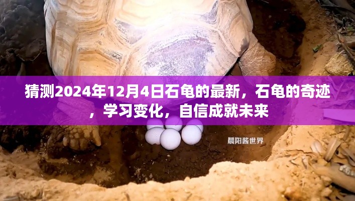 石龜奇跡，學習變化，自信成就未來（2024年預(yù)測）