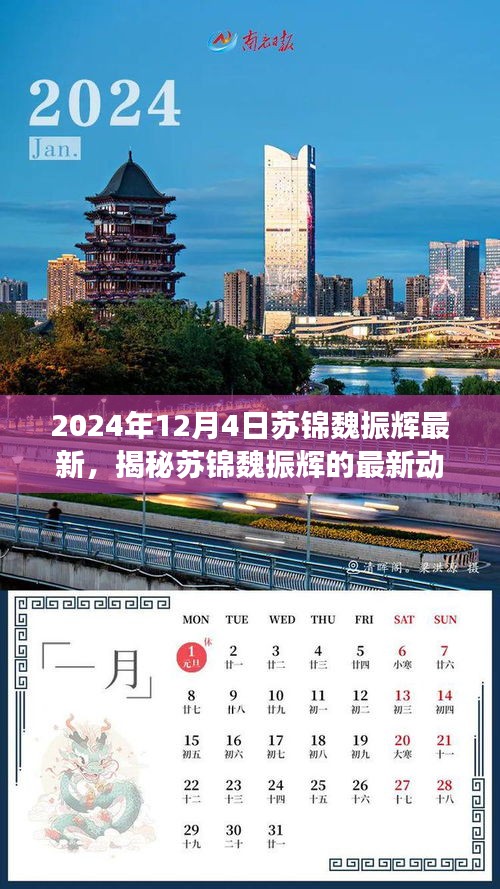 揭秘蘇錦魏振輝最新動(dòng)態(tài)，深度探討未來展望（2024年視角）