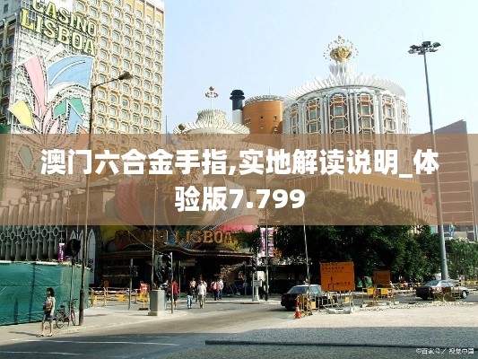 澳門六合金手指,實(shí)地解讀說明_體驗(yàn)版7.799