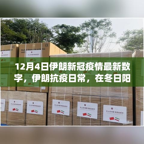 伊朗抗疫日常，冬日陽光下的疫情最新進展與溫情故事