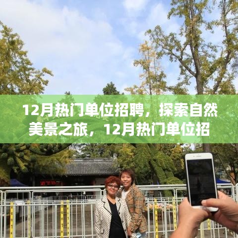 12月熱門單位招聘，探索自然美景之旅，12月熱門單位招聘，啟程尋找內(nèi)心的寧靜與平和