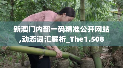 新澳門內(nèi)部一碼精準(zhǔn)公開網(wǎng)站,動(dòng)態(tài)詞匯解析_The1.508