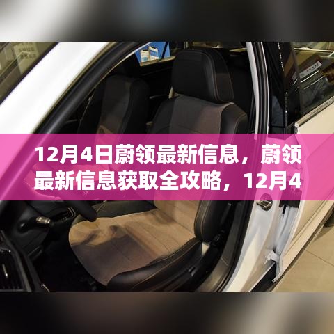 蔚領(lǐng)最新信息獲取攻略，12月4日更新步驟指南