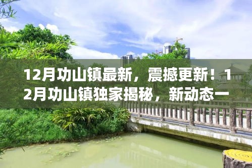 揭秘最新動態(tài)！12月功山鎮(zhèn)獨家更新一網(wǎng)打盡
