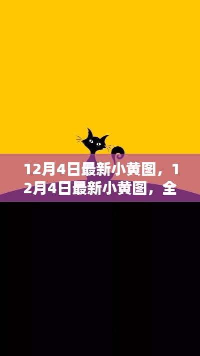 12月4日最新小黃圖，全面評測與詳細介紹