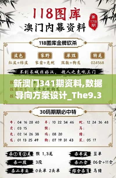 新澳門341期資料,數(shù)據(jù)導(dǎo)向方案設(shè)計(jì)_The9.341