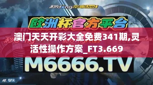 澳門天天開彩大全免費341期,靈活性操作方案_FT3.669