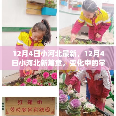 12月4日小河北新篇章，變化中的學(xué)習(xí)之旅，成就自信之源