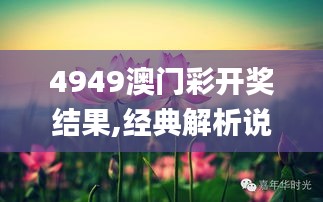 4949澳門彩開獎結(jié)果,經(jīng)典解析說明_桌面版8.298