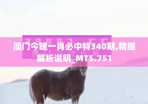 澳門今晚一肖必中特340期,精細(xì)解析說明_MT5.751