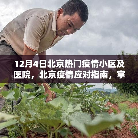 北京疫情應對指南，熱門疫情小區(qū)與醫(yī)院情況及關鍵步驟解析（初學者與進階用戶版）