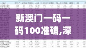 新澳門一碼一碼100準(zhǔn)確,深度分析解釋定義_鉆石版4.551