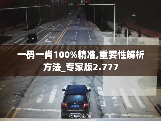 一碼一肖100%精準(zhǔn),重要性解析方法_專家版2.777