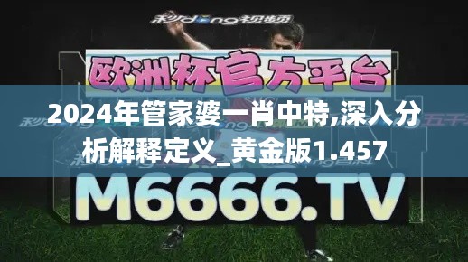 2024年管家婆一肖中特,深入分析解釋定義_黃金版1.457
