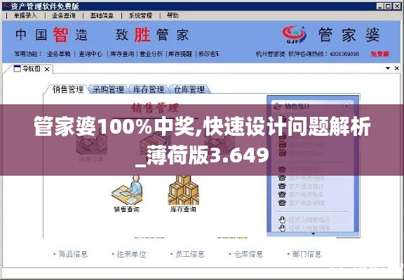 管家婆100%中獎,快速設計問題解析_薄荷版3.649