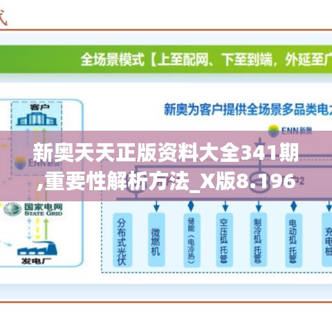 新奧天天正版資料大全341期,重要性解析方法_X版8.196