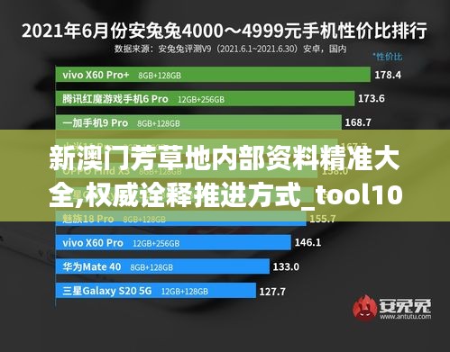 新澳門芳草地內(nèi)部資料精準(zhǔn)大全,權(quán)威詮釋推進(jìn)方式_tool10.374
