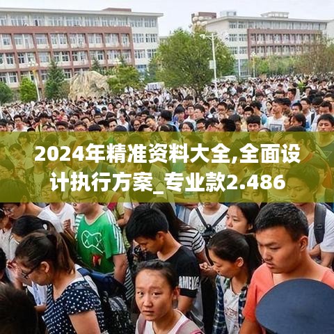 2024年精準(zhǔn)資料大全,全面設(shè)計(jì)執(zhí)行方案_專業(yè)款2.486