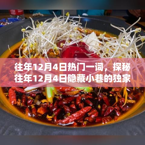 探秘往年12月4日小巷特色小店的獨(dú)特魅力，獨(dú)家記憶回顧