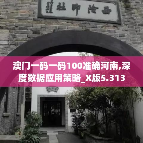 澳門(mén)一碼一碼100準(zhǔn)確河南,深度數(shù)據(jù)應(yīng)用策略_X版5.313