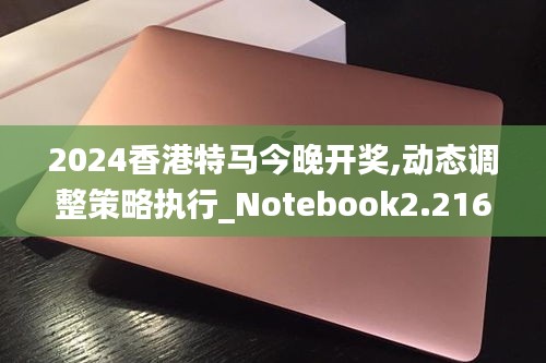 2024香港特馬今晚開獎,動態(tài)調(diào)整策略執(zhí)行_Notebook2.216