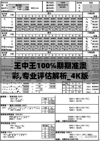 王中王100℅期期準(zhǔn)澳彩,專業(yè)評(píng)估解析_4K版3.804