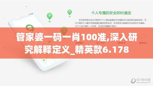 管家婆一碼一肖100準,深入研究解釋定義_精英款6.178