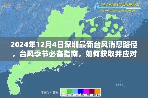 深圳最新臺風消息路徑指南（2024年臺風季節(jié)版），獲取臺風信息及應(yīng)對策略