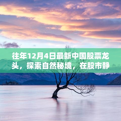 中國(guó)股市龍頭與自然秘境探索，股市靜謐與內(nèi)心寧?kù)o之旅相遇