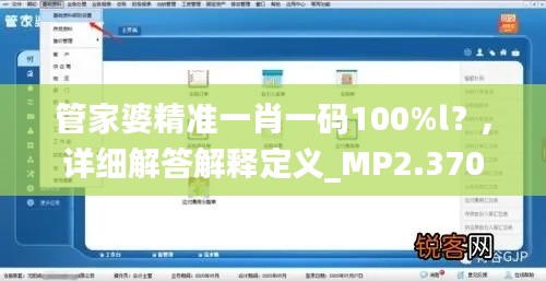 管家婆精準一肖一碼100%l？,詳細解答解釋定義_MP2.370