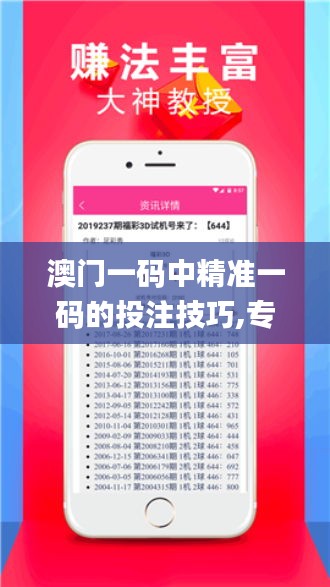 澳門一碼中精準(zhǔn)一碼的投注技巧,專業(yè)調(diào)查解析說明_Elite9.901