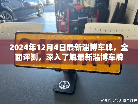 獨(dú)家評測，深入了解最新淄博車牌的獨(dú)特魅力與用戶體驗