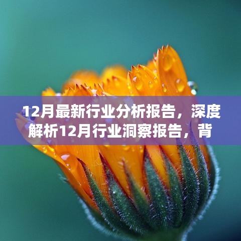 全面解讀，最新行業(yè)洞察報(bào)告深度剖析，背景事件與地位分析（十二月版）