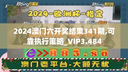 2024澳門六開獎(jiǎng)結(jié)果341期,可靠執(zhí)行策略_VIP3.484