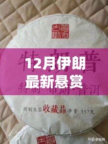 獨(dú)家爆料，揭秘十二月伊朗最新懸賞動態(tài)，財富機(jī)會不容錯過！