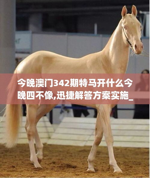 今晚澳門342期特馬開什么今晚四不像,迅捷解答方案實施_XP19.876