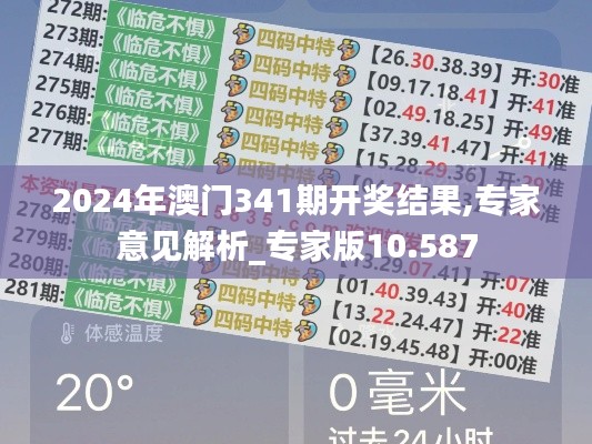 2024年澳門341期開獎結(jié)果,專家意見解析_專家版10.587